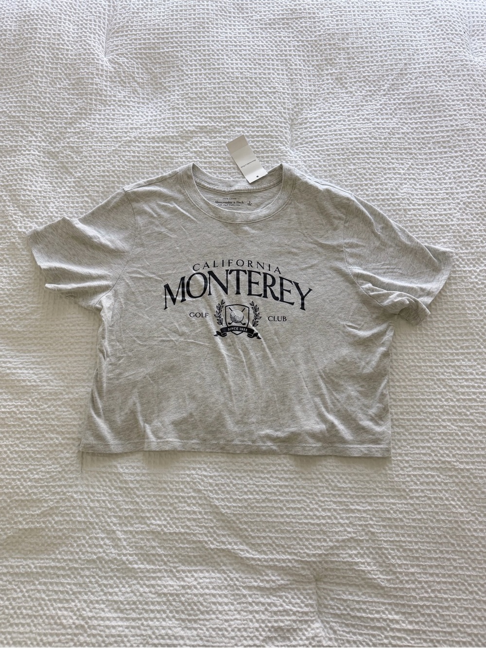 NWT Abercrombie & Fitch Gray Monterey Graphic Tee
